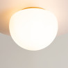 Plafon szklany złoty MOD270CL-01G z serii Glassy - Lampy Maytoni
