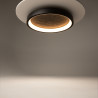 Plafon kamienny czarny MOD311CL-L40B3K z serii Orign - Lampy Maytoni