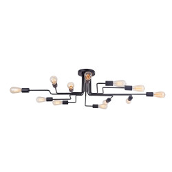 Plafon metalowy czarny 12-punktowy T532CL-12B z serii Gilbert - Lampy Maytoni
