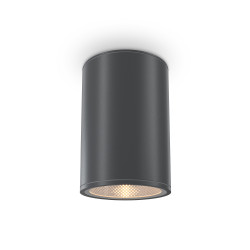 Plafon zewnętrzny metalowy grafitowy O306CL-L12GF z serii Bar - Lampy Maytoni