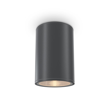 Plafon zewnętrzny metalowy grafitowy O306CL-L12GF z serii Bar - Lampy Maytoni