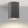 Plafon zewnętrzny metalowy grafitowy O306CL-L12GF z serii Bar - Lampy Maytoni