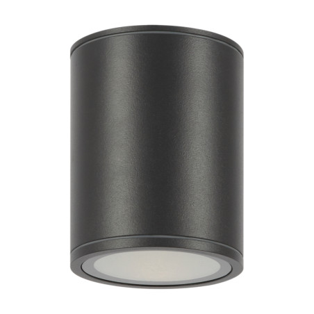 Plafon zewnętrzny metalowy grafitowy O306CL-L12GF z serii Bar - Lampy Maytoni