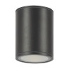 Plafon zewnętrzny metalowy grafitowy O306CL-L12GF z serii Bar - Lampy Maytoni
