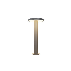 Lampa ogrodowa metalowa grafitowa O420FL-L12GF z serii Wald - Lampy Maytoni