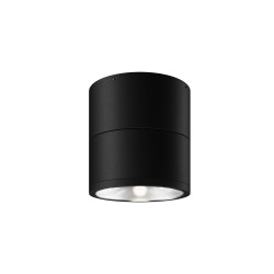 Plafon zewnętrzny metalowy grafitowy O310CL-L12GF3K z serii Spin - Lampy Maytoni