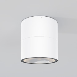 Plafon zewnętrzny metalowy biały O310CL-L12W3K z serii Spin - Lampy Maytoni