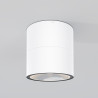 Plafon zewnętrzny metalowy biały O310CL-L12W3K z serii Spin - Lampy Maytoni