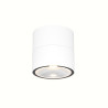 Plafon zewnętrzny metalowy biały O310CL-L12W3K z serii Spin - Lampy Maytoni