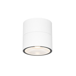 Plafon zewnętrzny metalowy biały O310CL-L5W3K z serii Spin - Lampy Maytoni