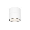 Plafon zewnętrzny metalowy biały O310CL-L5W3K z serii Spin - Lampy Maytoni