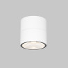 Plafon zewnętrzny metalowy biały O310CL-L5W3K z serii Spin - Lampy Maytoni