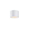 Plafon aluminiowy biały C090CL-10W3K-W z serii Hydra - Lampy Maytoni