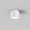 Plafon aluminiowy biały C090CL-10W3K-W z serii Hydra - Lampy Maytoni