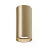 Plafon aluminiowy złoty matowy C010CL-01MG z serii Focus - Lampy Maytoni