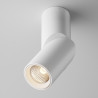 Plafon aluminiowy biały C027CL-L10W z serii Dafne - Lampy Maytoni