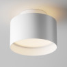 Plafon aluminiowy biały C009CW-L16W z serii Planet - Lampy Maytoni