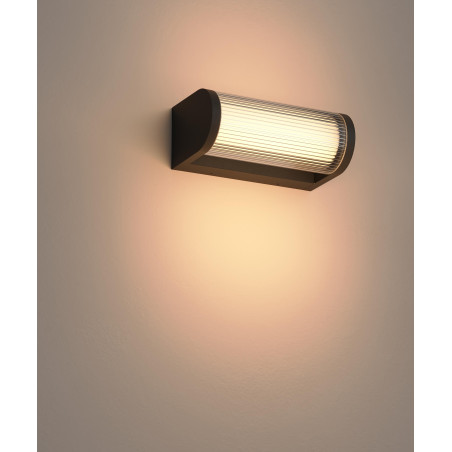 NOWOŚĆ Maxlight W0465 Gardenia