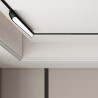 NOWOŚĆ Reflektor Magnetic Slim Fizz 12W LED CCT czarny Light Prestige