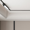 NOWOŚĆ Reflektor Magnetic Slim Fizz 6W LED CCT czarny Light Prestige