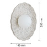 NOWOŚĆ 8934 BOLL Argon