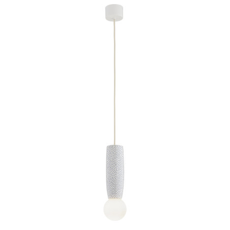 NOWOŚĆ 8938 BOLL Argon