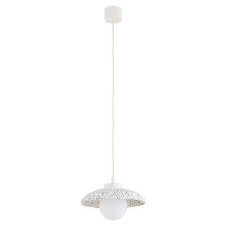 NOWOŚĆ 8947 BOLL Argon