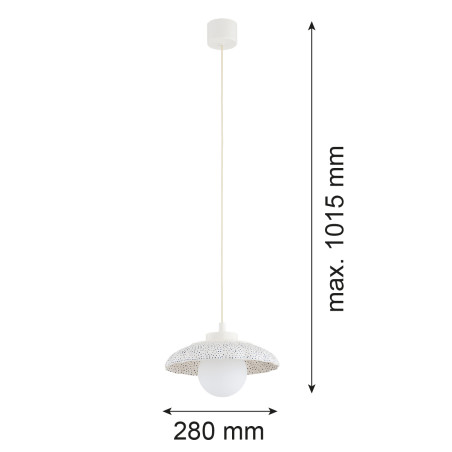 NOWOŚĆ 8947 BOLL Argon