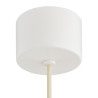 NOWOŚĆ 8949 BOLL Argon