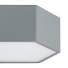 NOWOŚĆ 8784 LIBERO Argon