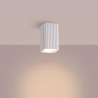 NOWOŚĆ Plafon RAYO 10 białySL.3135 Sollux