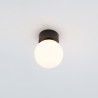 NOWOŚĆ Lampa sufitowa z kloszem KIER S Czarny 10302 Nowodvorski