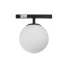 Lampa szynowa magnetyczna LED ALFA ARYA 10 W 3000 K AZ7098 Azzardo czarna / biała