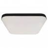 Plafon NEMO BLACK 17W LED