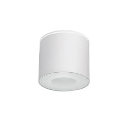 HEXA Biały 1x35W