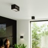 Plafon LOBO MAXI czarny SL.0384 Sollux