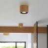 Plafon BASIC 2 naturalne drewno SL.0914 Sollux
