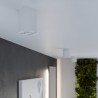Plafon ZOE biały LED SL.1209 Sollux