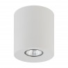 ORION WHITE LAMPA SUFITOWA 1 PŁ  Tk Lighting