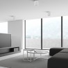 ORION WHITE LAMPA SUFITOWA 1 PŁ  Tk Lighting