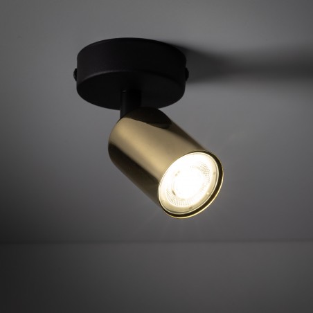 TOP GOLD 1  Tk Lighting