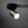 TOP GOLD 1  Tk Lighting