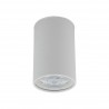 TOP WHITE 1 PUNKTOWA  Tk Lighting