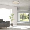 Plafon Alto 3xE14 biały LP-81008/3C WH Light Prestige