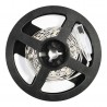 EKZ0446 Zestaw Led RGB 3m IP54 Sterownik + Pilot Milagro