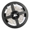 EKZ0447 Zestaw Led RGB 5m IP54 Sterownik + Pilot Milagro