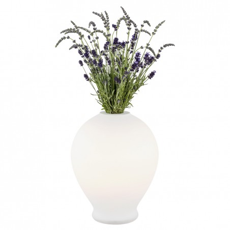 AMARYLIS 4095 lampa stołowa 1 pł. Argon