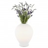 AMARYLIS 4095 lampa stołowa 1 pł. Argon