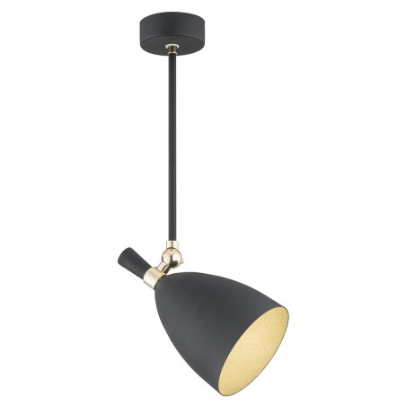 CHARLOTTE 4686 lampa wisząca 1 pł. Argon CHARLOTTE 4686 lampa wisząca 1 pł. Argon