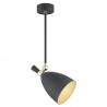 CHARLOTTE 4686 lampa wisząca 1 pł. Argon